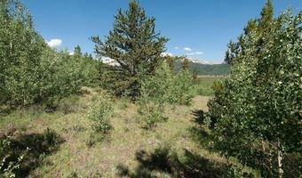 268 HIGH RIVER Ct, Alma, CO 80420