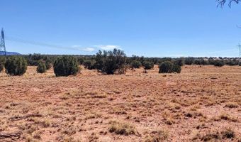 Lot 44 Ranch Of The White Mountains N9119, Concho, AZ 85924