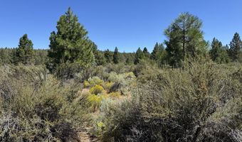 Bufflehead Drive 18, Bonanza, OR 97623