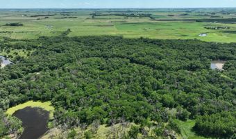 23740 Hickory Ave, Allison, IA 50602