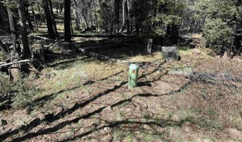 1451 El Camino Real, Angel Fire, NM 87710