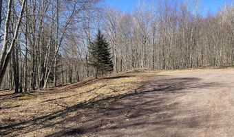 L22.2 Alder Pond Road, Andes, NY 13740