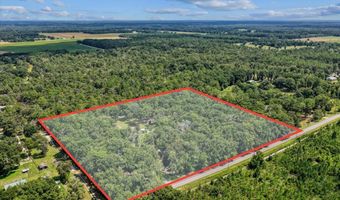 4700 55th Ave, Bell, FL 32619