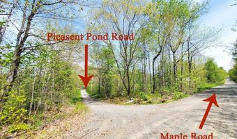 Pleasent Pond Road lot 7, Atkinson, ME 04426