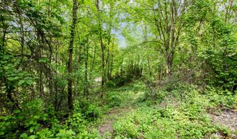 2895 Terra Nova Dr SE, Ada, MI 49301