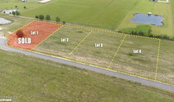 Tbd Doc Guidry -Lot 3 Road, Cankton, LA 70584