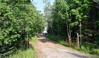 9537 LAKEVIEW Rd, Alanson, MI 49706