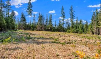 L13B1 Leonard Loop, Athol, ID 83801