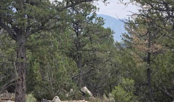 Lobo Ranch Road, Arroyo Hondo, NM 87513