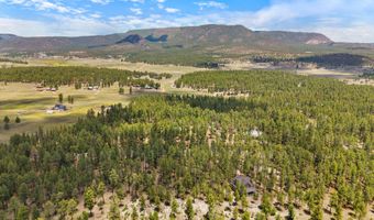 98 County Road 2266, Alpine, AZ 85920