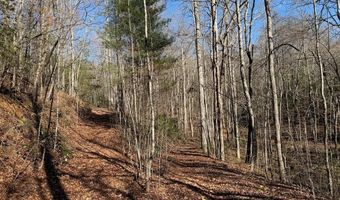 135 49ac Webb Creek Rd, Andrews, NC 28901