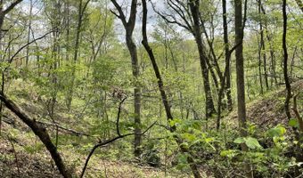 State Hwy N Tract G, Ava, MO 65608