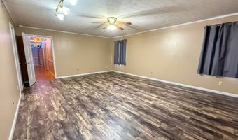 963 Springhill Church Rd, Alamo, GA 30411