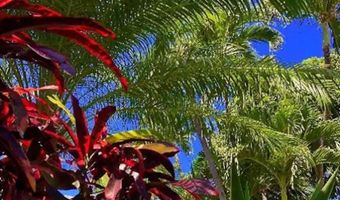 1299 ULUNIU Rd F203, Kihei, HI 96753