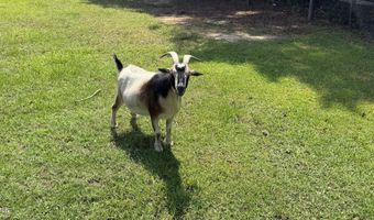 210 W Rd, Angier, NC 27501