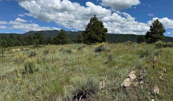 Lot 459 Torrey Pines, Angel Fire, NM 87710