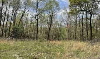 State Hwy N Tract G, Ava, MO 65608