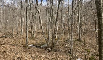 0 TBD Elleber Sods Rd, Bartow, WV 24920