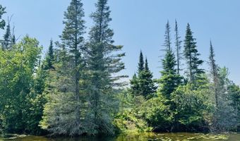 6378 Macey Ln, Alpena, MI 49707