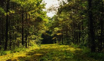 1037 Cr 300, Big Creek, MS 38914
