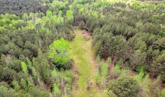 6995 Cobbham Rd, Appling, GA 30802