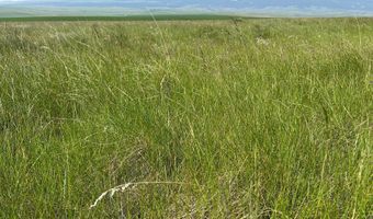 UBET Road, Buffalo, MT 59418