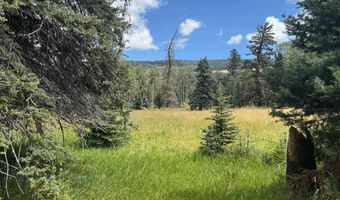 El Camino Real lot 80, Angel Fire, NM 87710
