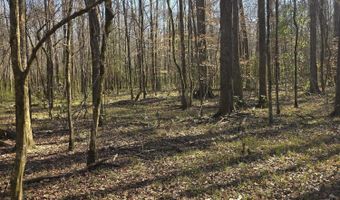 Bogue Chitto Road, Bogue Chitto, MS 39629