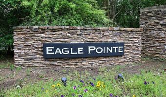 104 Eagle Pointe Dr, Chapin, SC 29036
