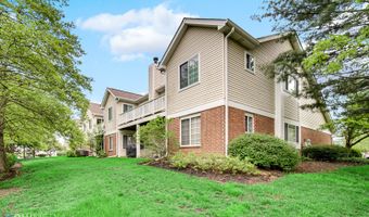 215 Norfolk Ct 8, Roselle, IL 60172