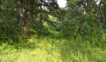 County Road 550 E, Albion, IL 62806