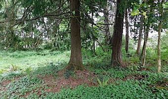 Knappa Dock RD, Astoria, OR 97103