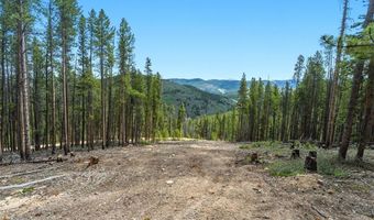 653 Summit Gulch Rd Lot 1, Breckenridge, CO 80424