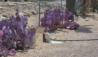 18820 E KINGS Way, Black Canyon City, AZ 85324