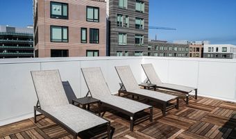 38 Hichborn 204, Boston, MA 02135