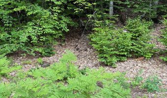 00 River St, Ashland, NH 03217
