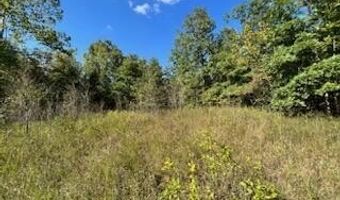 County Road 118, Annapolis, MO 63620