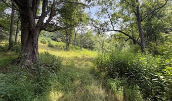 Hall Hollow Road, Austinville, VA 24312