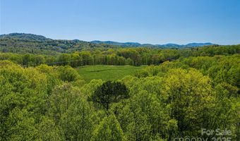 9999 Bee Balm Way 55, Asheville, NC 28804
