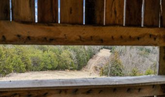Smithtown Road, Afton, TN 37616