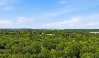 115355 115353 CR 2501, Alto, TX 75925