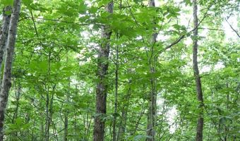 Whiskey Creek Lane, Batesville, AR 72501