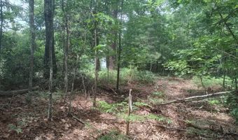 203 Saluda Bluff Rd Rd, Batesburg Leesville, SC 29006