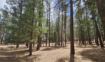 15 County Road 2065, Alpine, AZ 85920