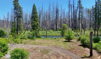 52984 MCKENZIE Hwy, Blue River, OR 97413