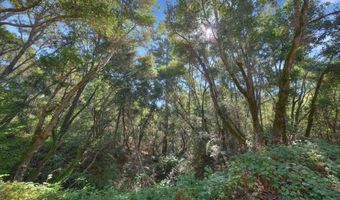 900 Mesa Grande Rd, Aptos, CA 95003