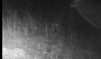 Putnam Road, Belzoni, MS 39038