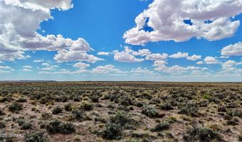 Tbd COUNTY ROAD N7012 40 ACRES, Chambers, AZ 86502