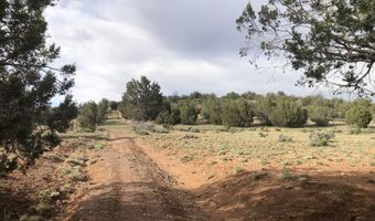 302-17 306 Haywire Rd, Ash Fork, AZ 86320