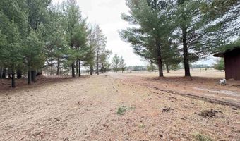 922 Elk Ave, Adams, WI 53910